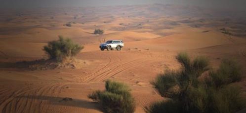 Desert Safari