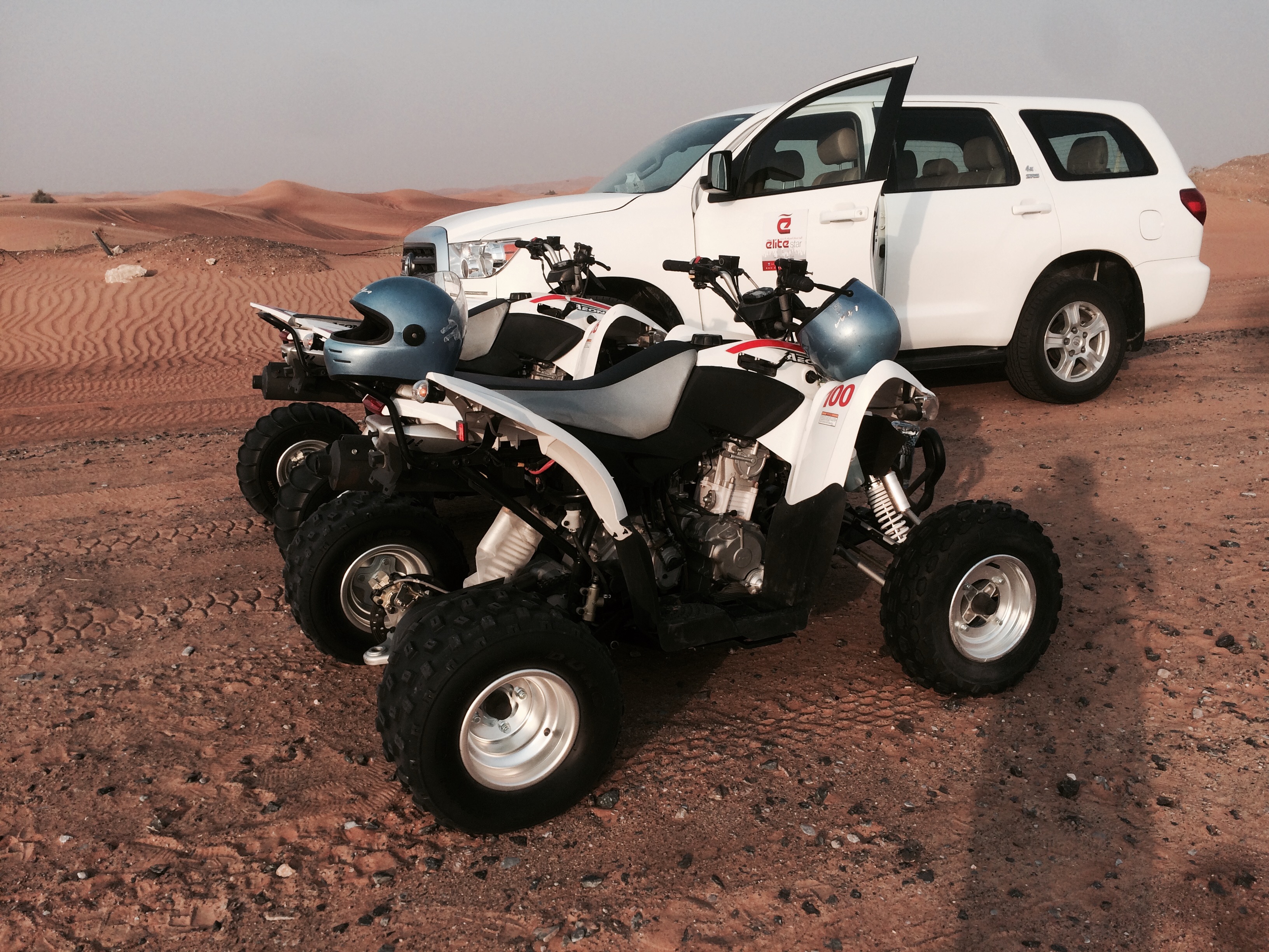 Arabian safari