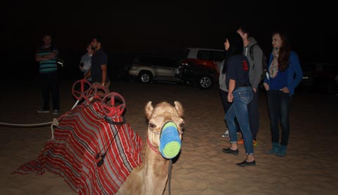 evening desert safari