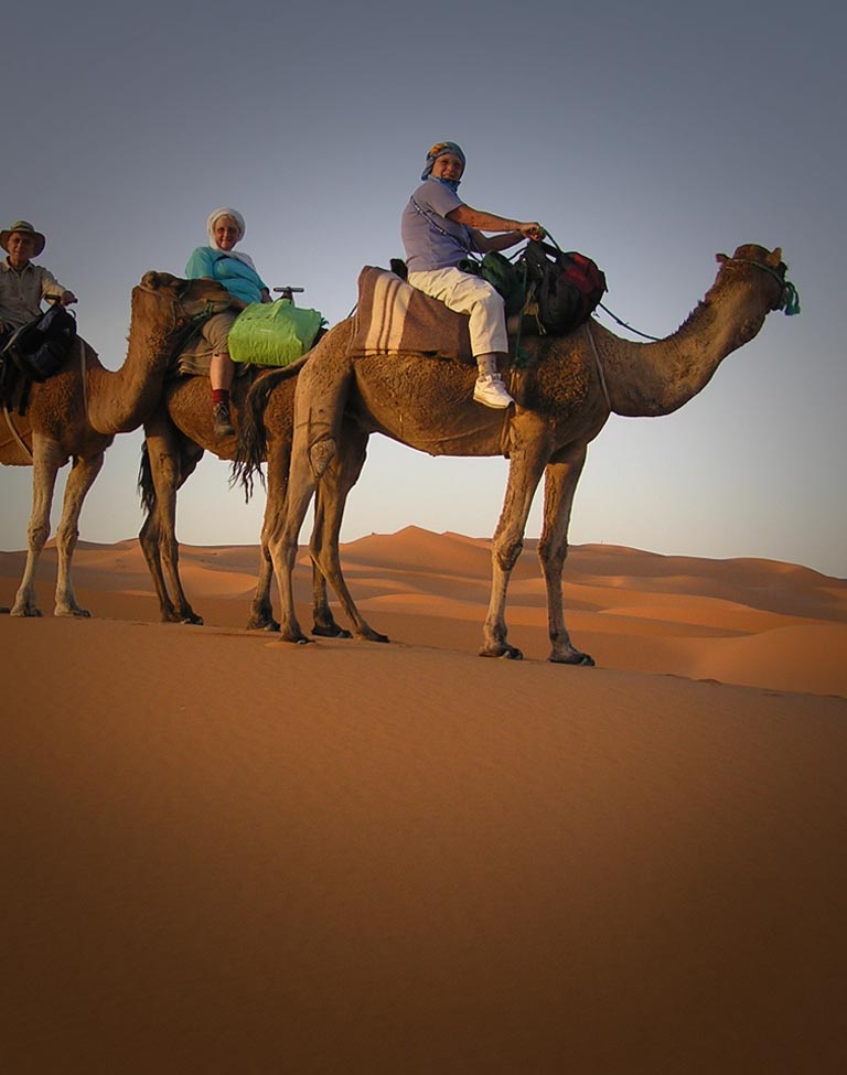 overnight camel desert safari