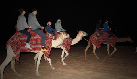 Camel Caravan over the dunes