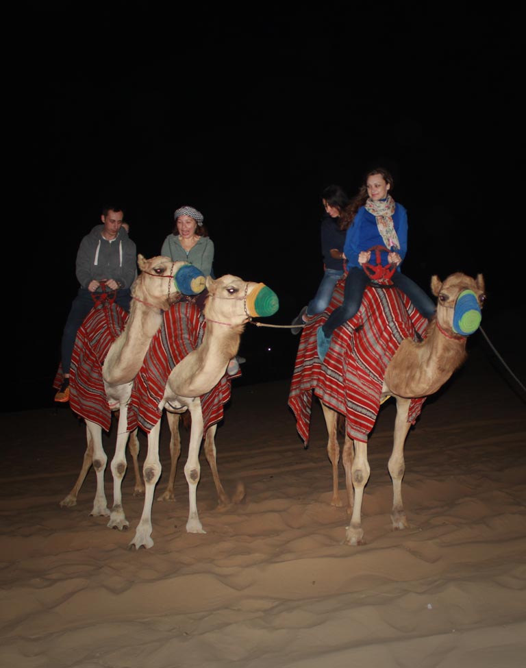 Camel Caravan over the dunes